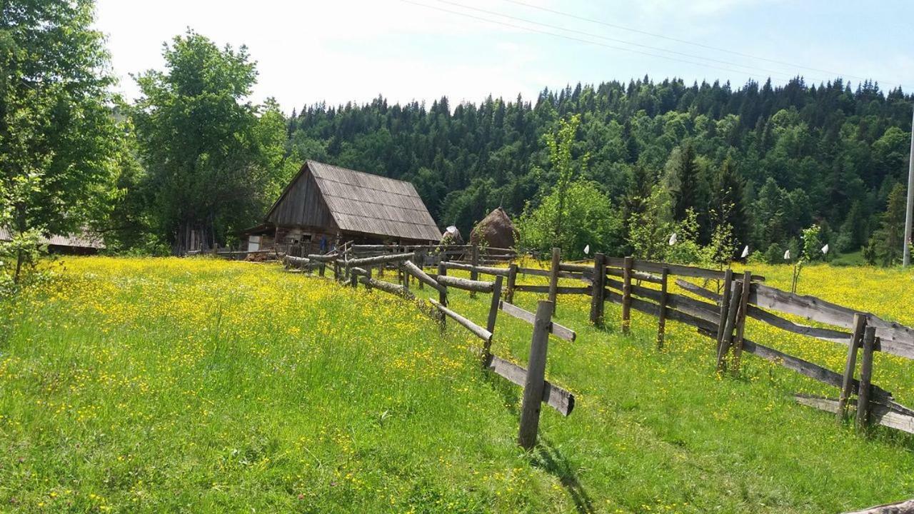 Pensiunea Miesca Matisesti Exterior foto