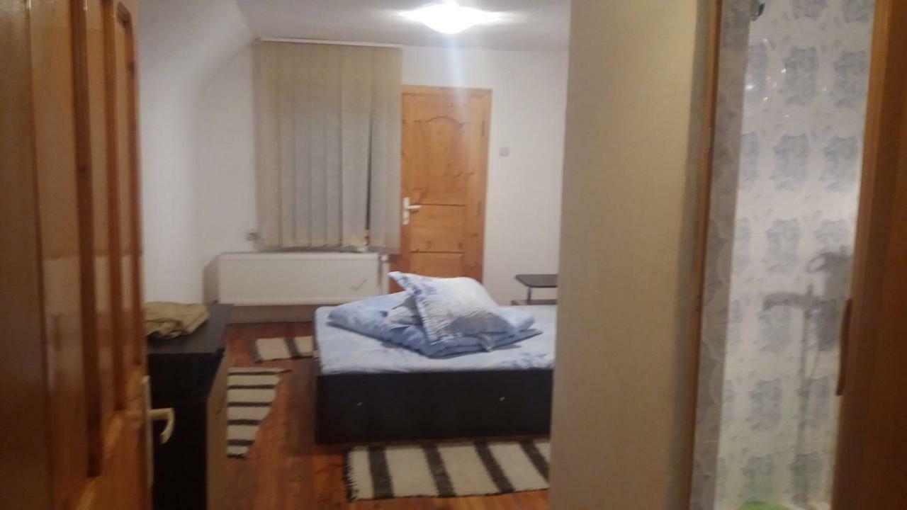Pensiunea Miesca Matisesti Exterior foto